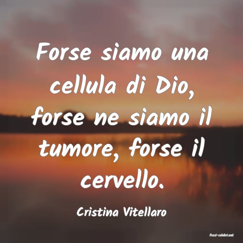 frasi di  Cristina Vitellaro
