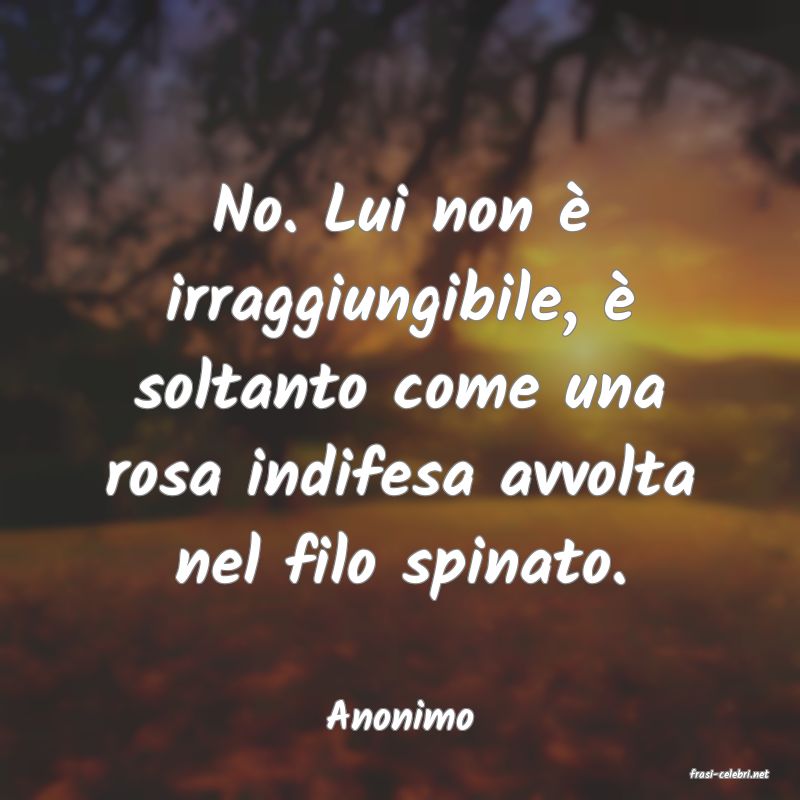 frasi di Anonimo