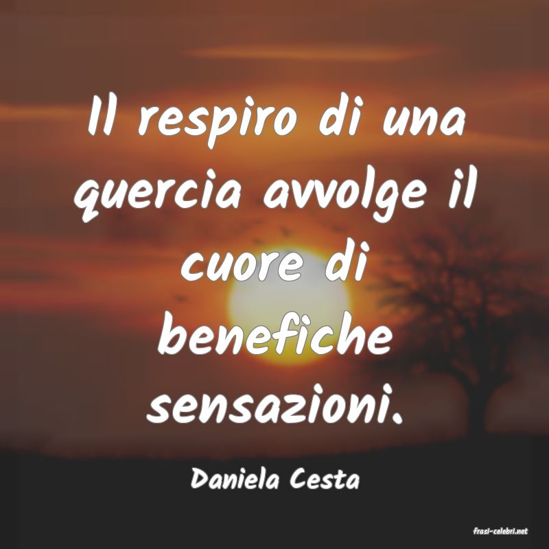 frasi di  Daniela Cesta
