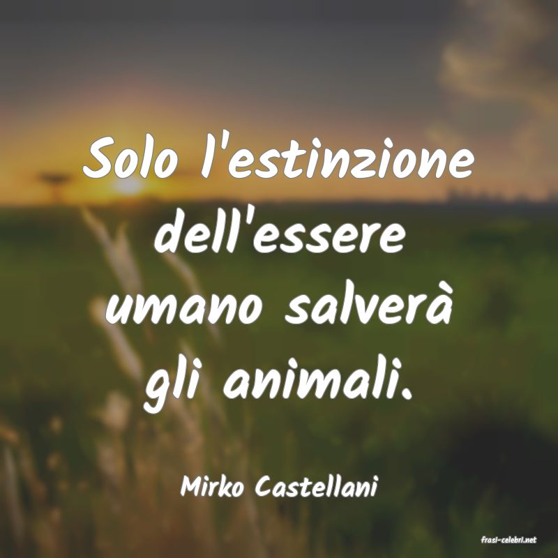 frasi di  Mirko Castellani

