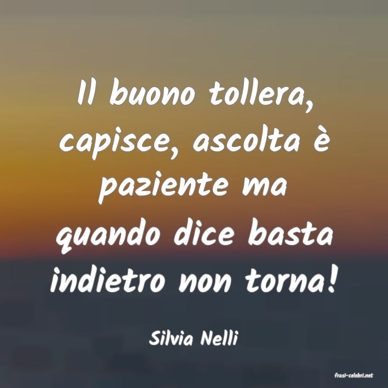 frasi di  Silvia Nelli
