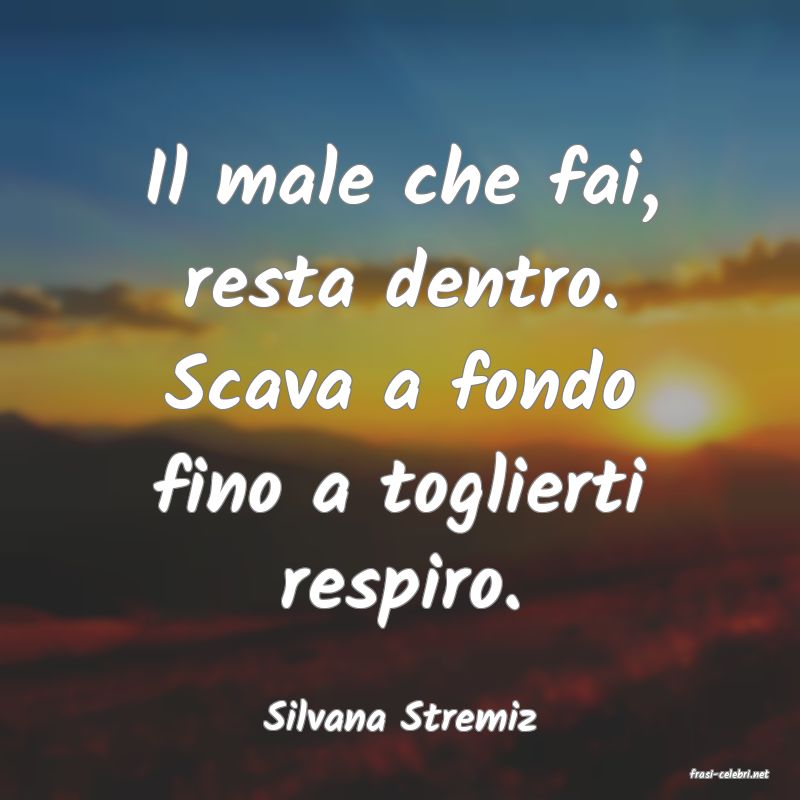 frasi di Silvana Stremiz