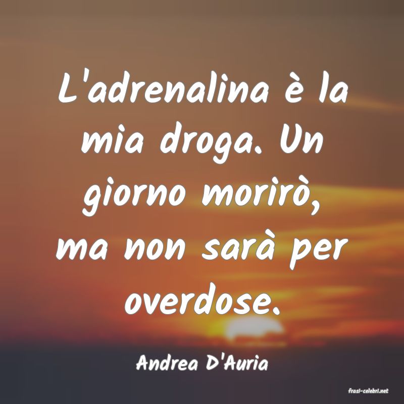 frasi di Andrea D'Auria