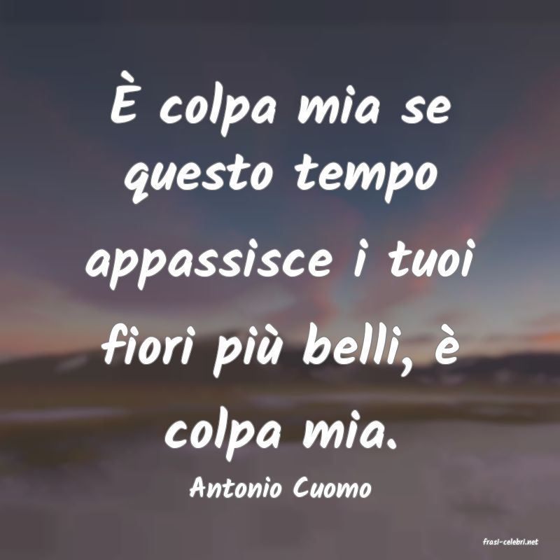 frasi di  Antonio Cuomo
