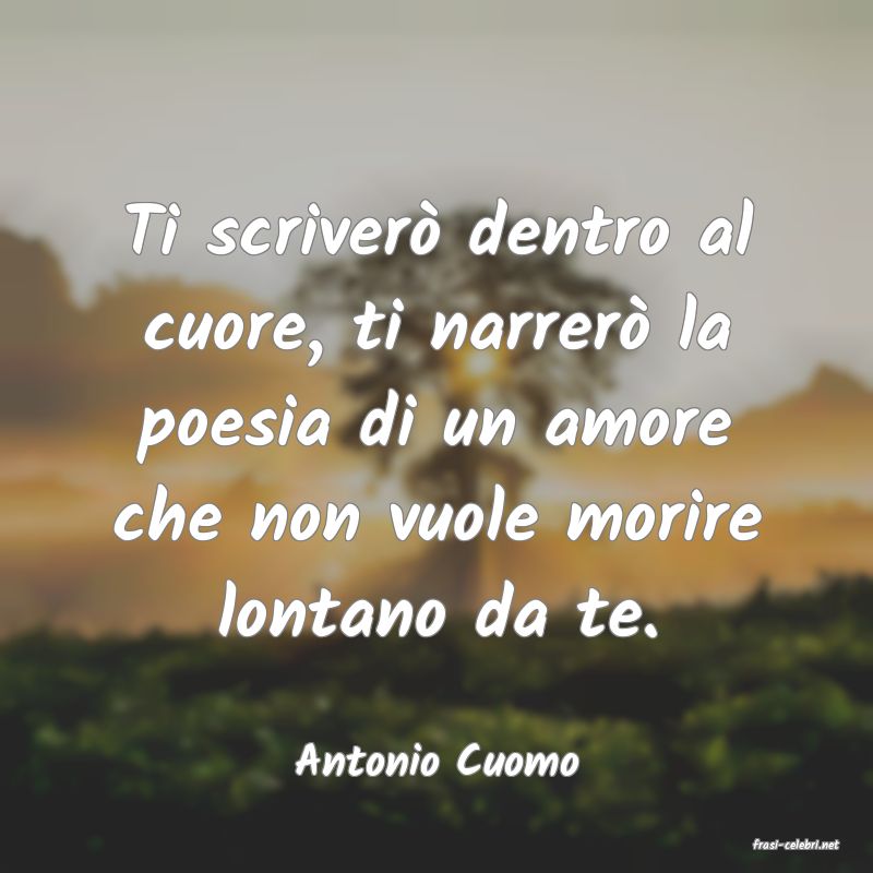 frasi di  Antonio Cuomo
