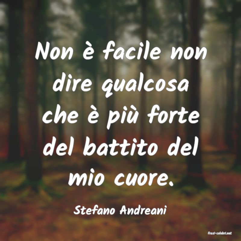frasi di Stefano Andreani