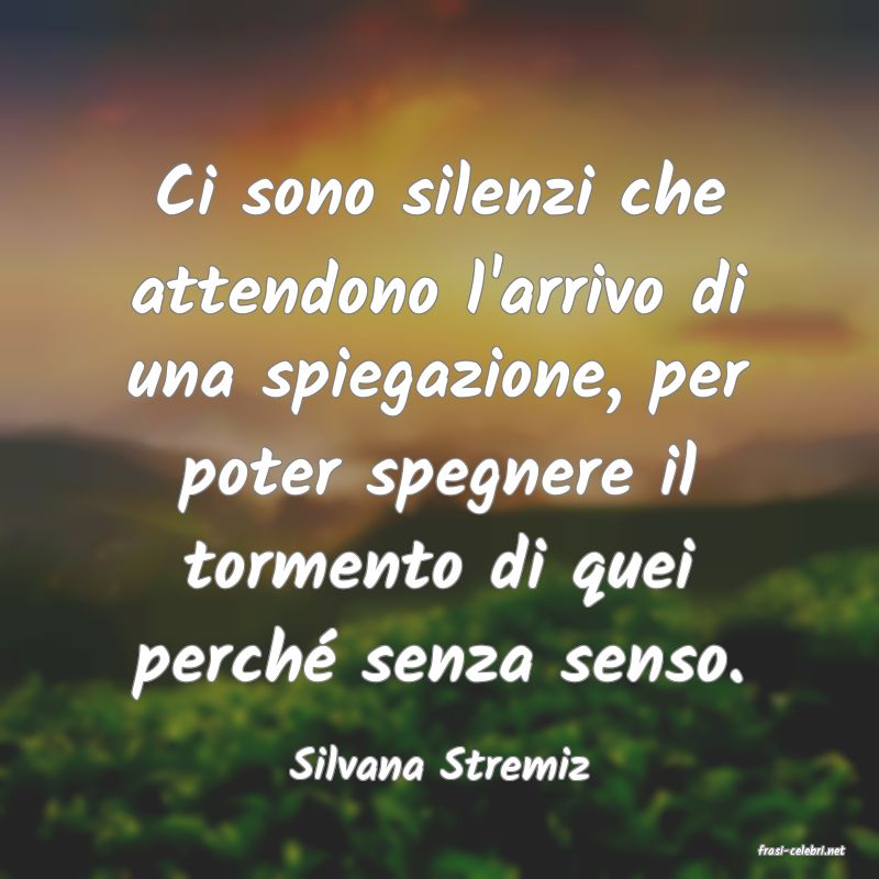 frasi di  Silvana Stremiz
