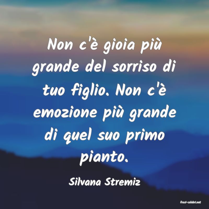 frasi di  Silvana Stremiz

