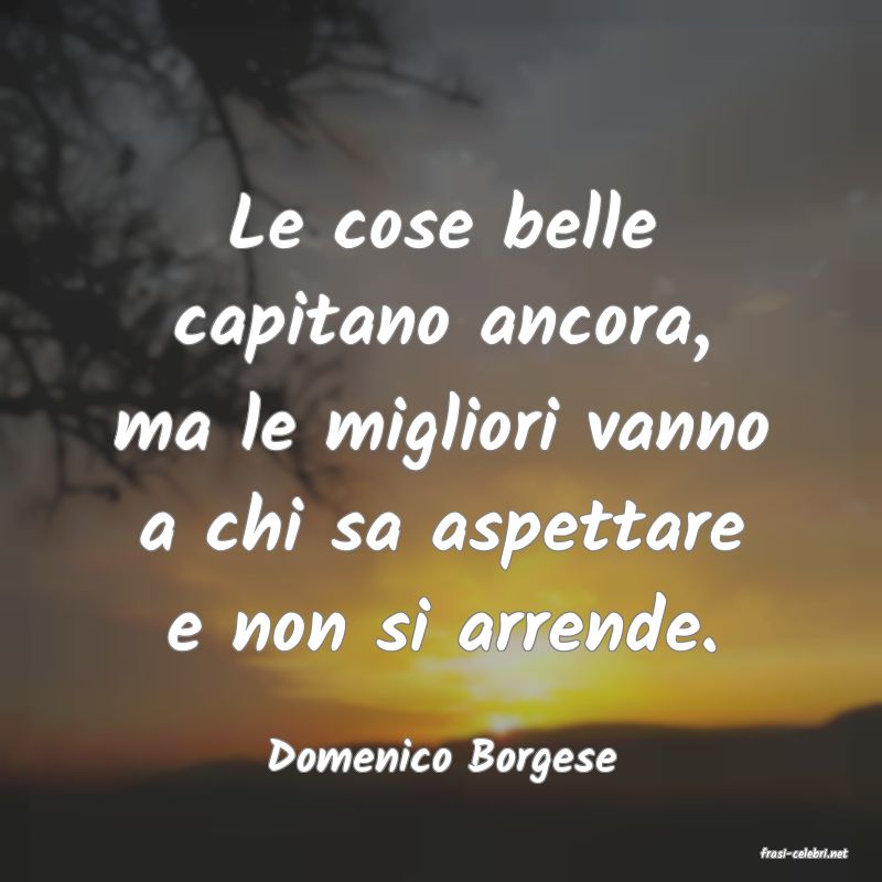 frasi di  Domenico Borgese
