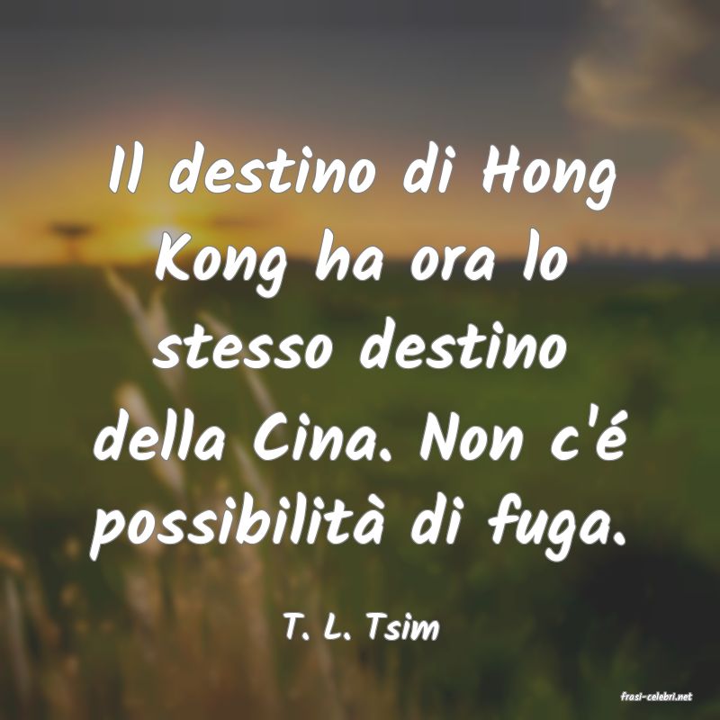 frasi di  T. L. Tsim
