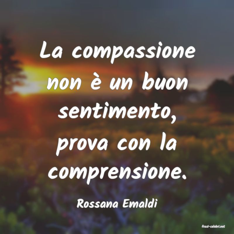 frasi di  Rossana Emaldi
