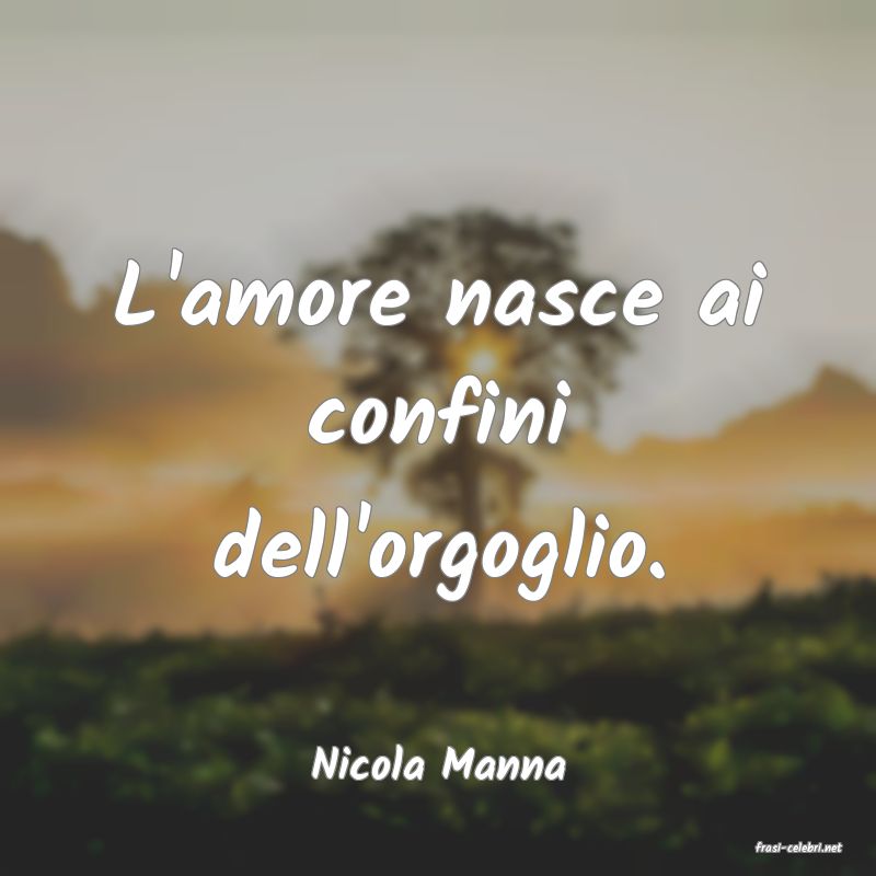 frasi di  Nicola Manna
