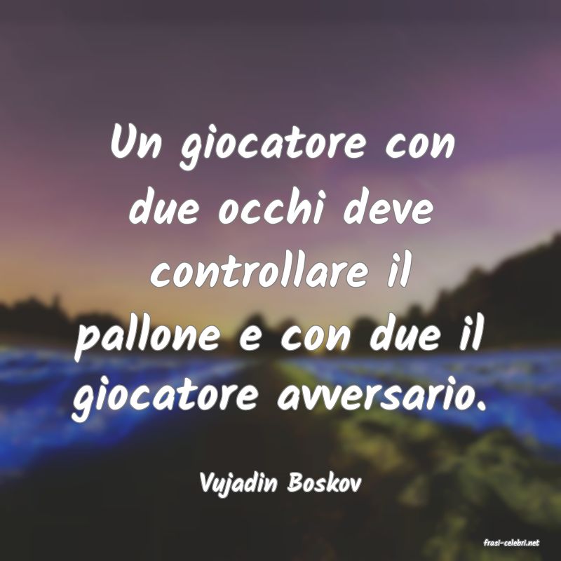 frasi di  Vujadin Boskov
