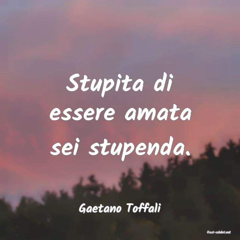 frasi di  Gaetano Toffali
