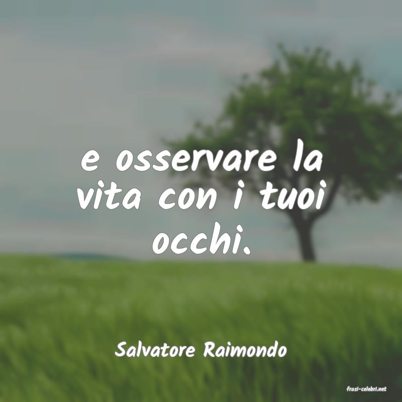 frasi di  Salvatore Raimondo
