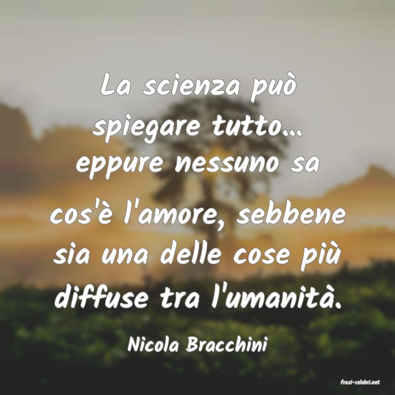 frasi di  Nicola Bracchini
