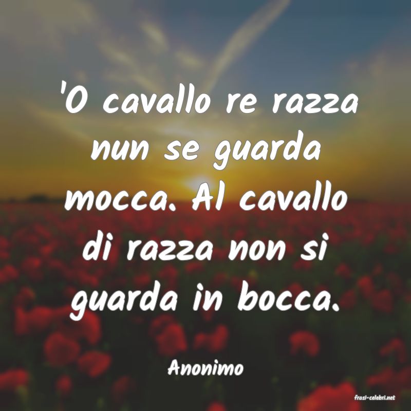 frasi di Anonimo