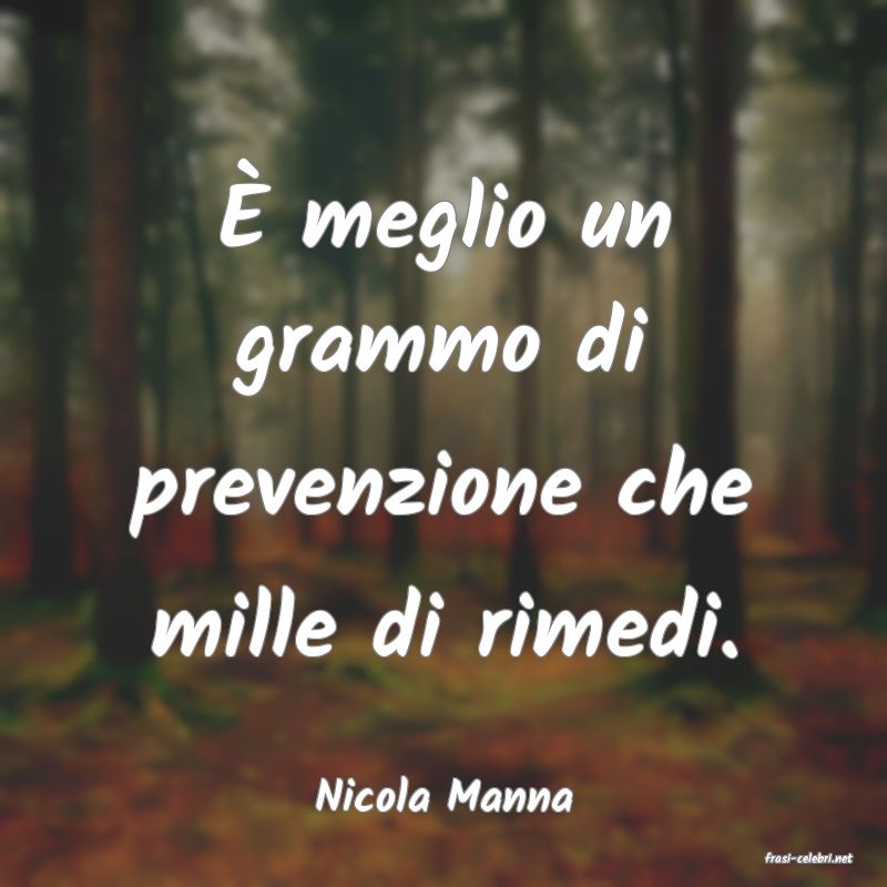 frasi di Nicola Manna