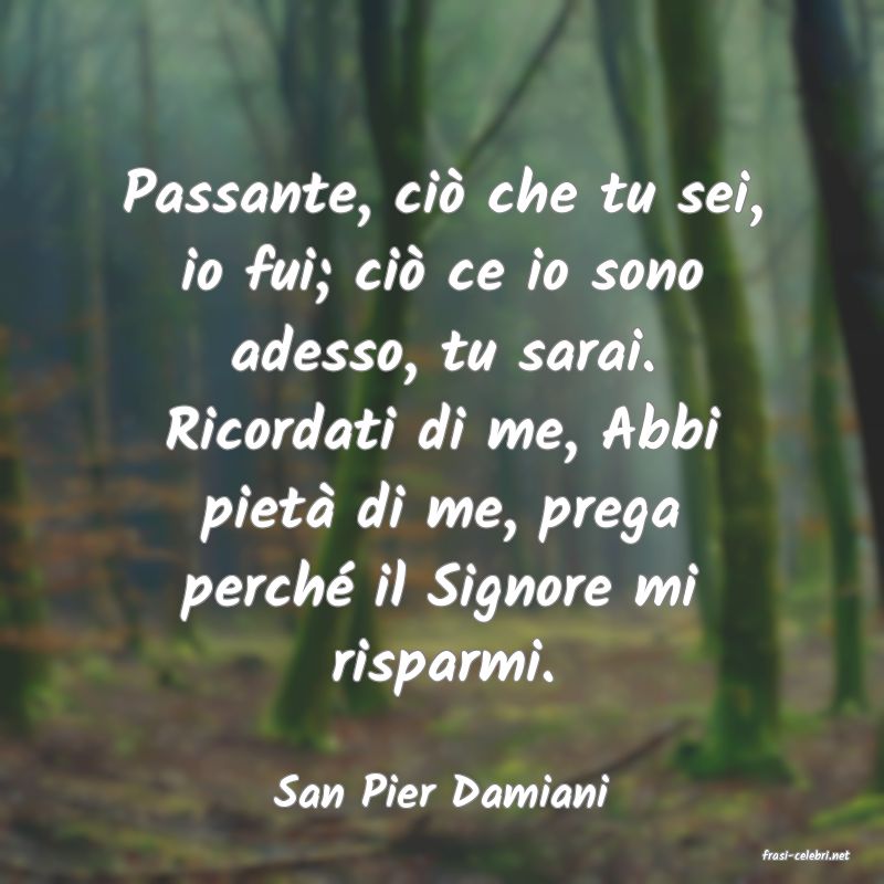 frasi di San Pier Damiani