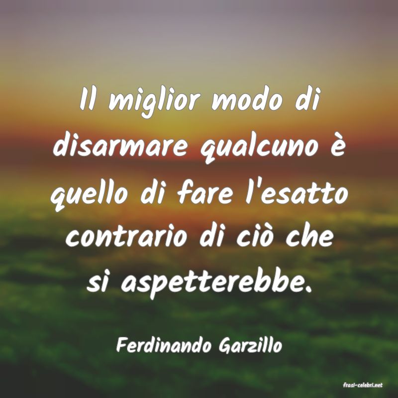 frasi di  Ferdinando Garzillo
