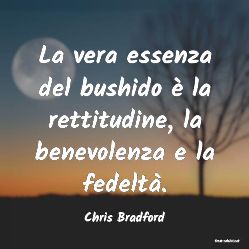 frasi di  Chris Bradford
