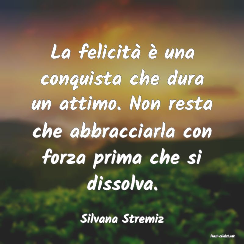 frasi di Silvana Stremiz
