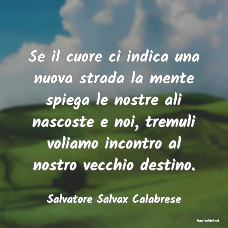 frasi di  Salvatore Salvax Calabrese

