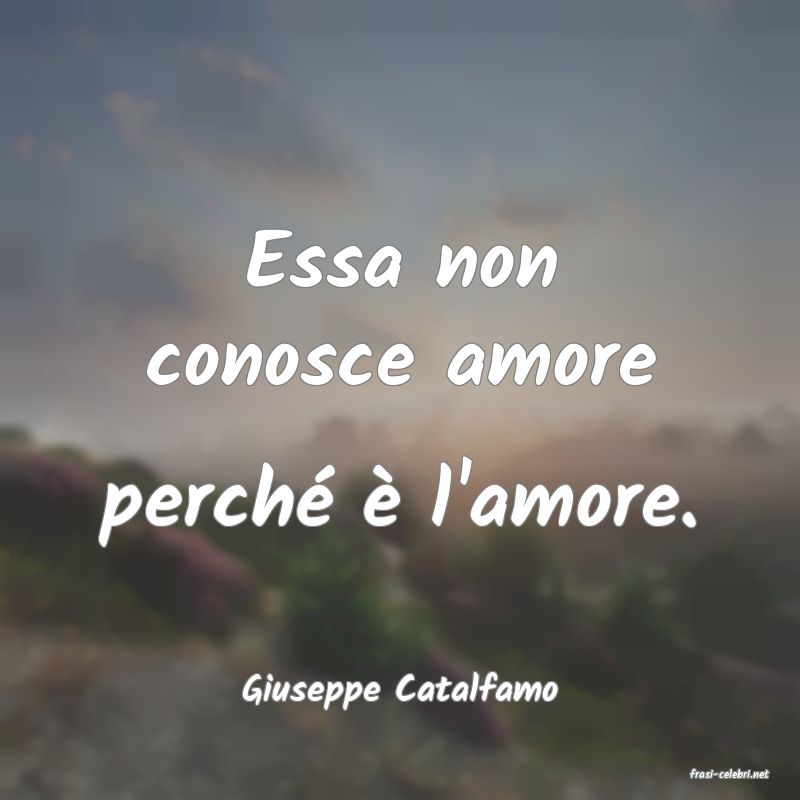 frasi di  Giuseppe Catalfamo
