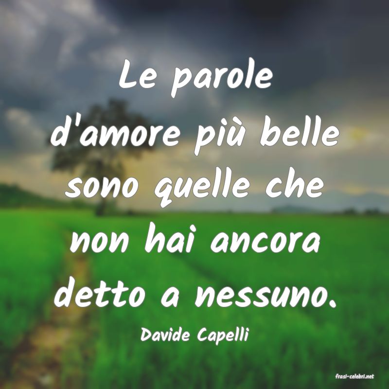 frasi di  Davide Capelli

