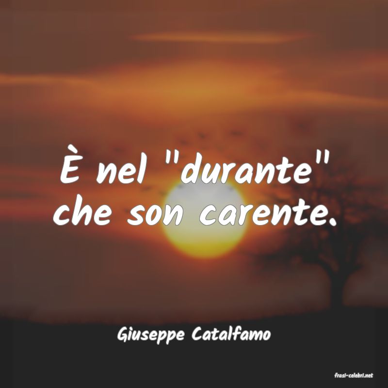 frasi di  Giuseppe Catalfamo
