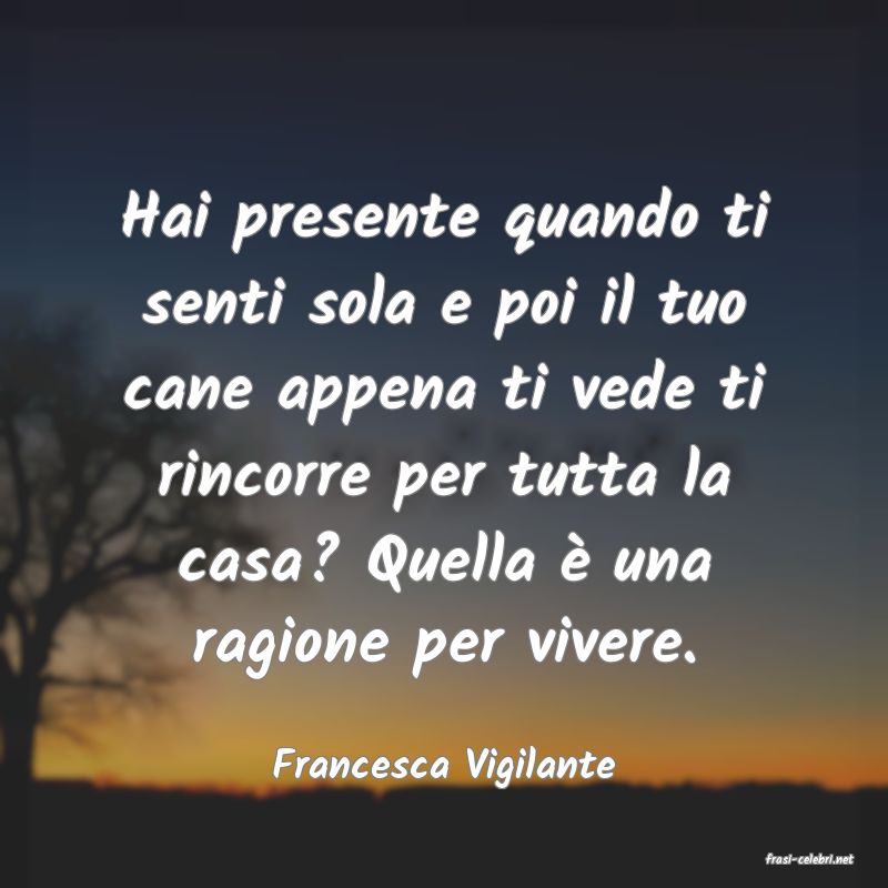 frasi di  Francesca Vigilante
