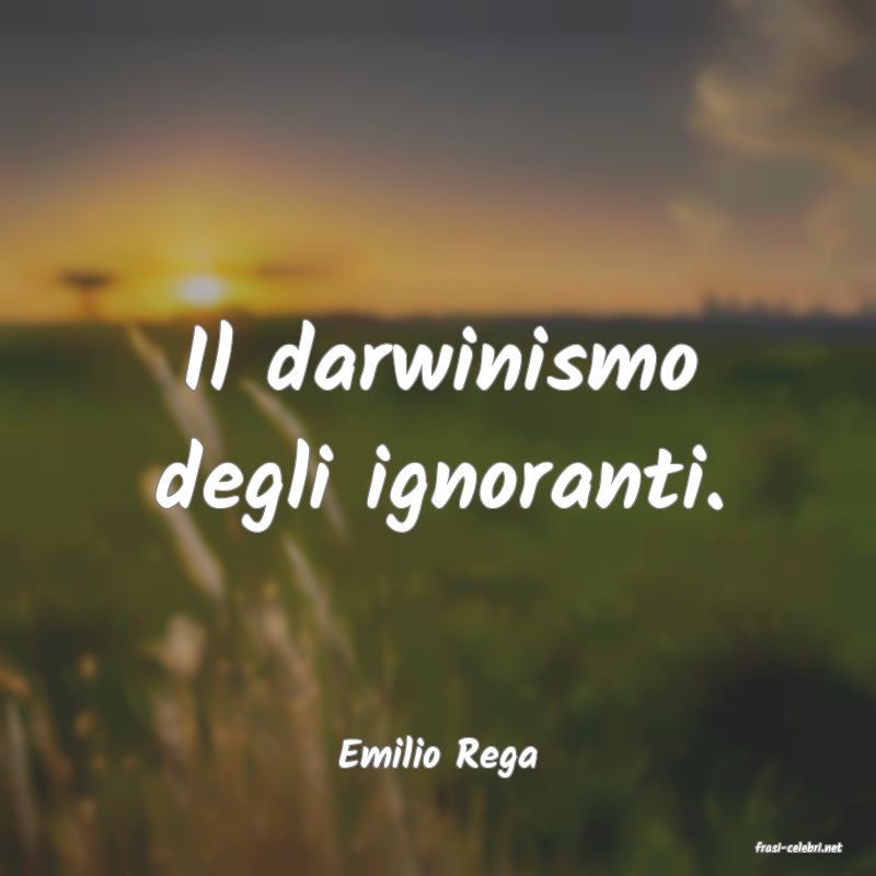 frasi di  Emilio Rega

