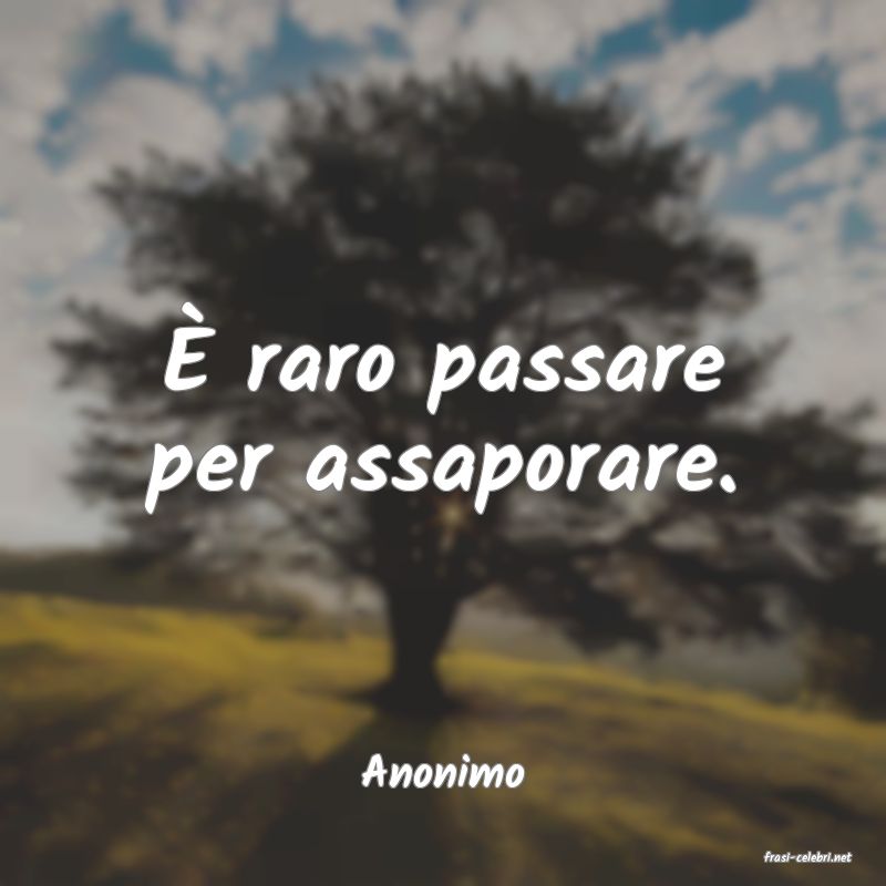 frasi di  Anonimo
