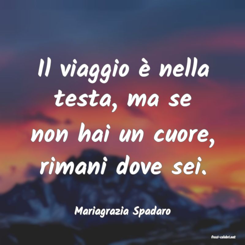 frasi di  Mariagrazia Spadaro
