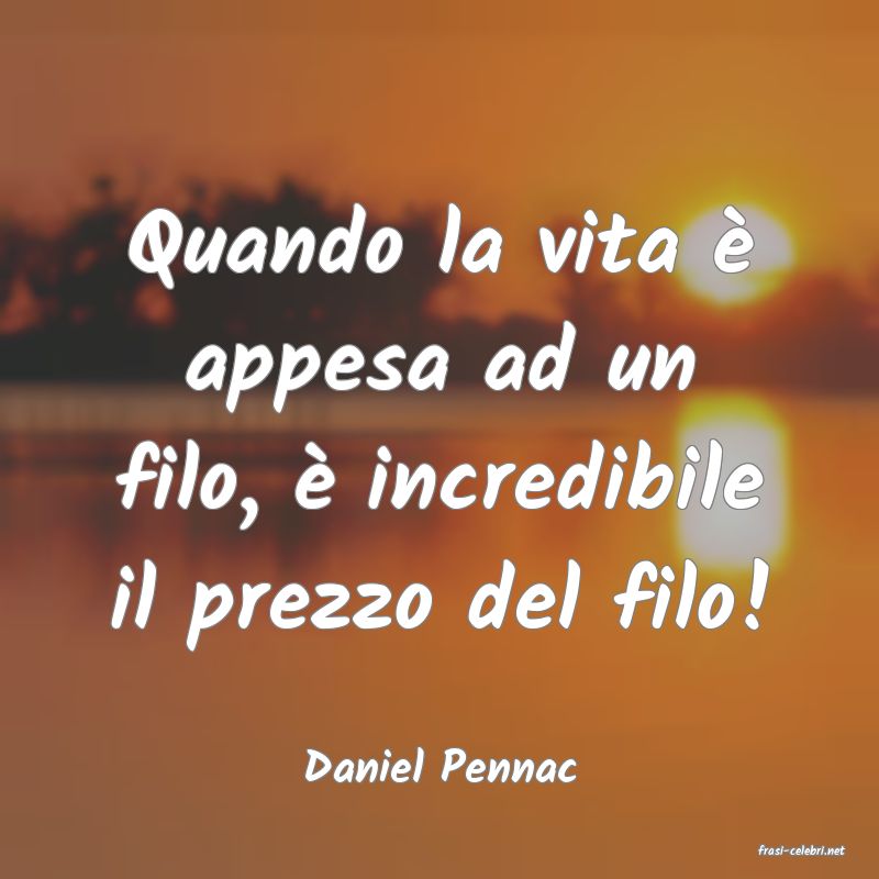frasi di  Daniel Pennac
