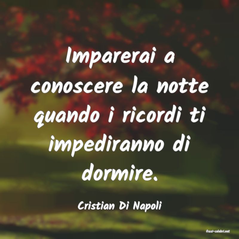 frasi di  Cristian Di Napoli

