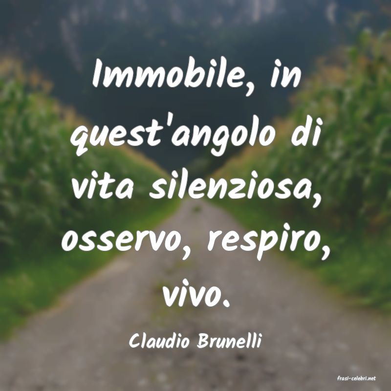 frasi di  Claudio Brunelli
