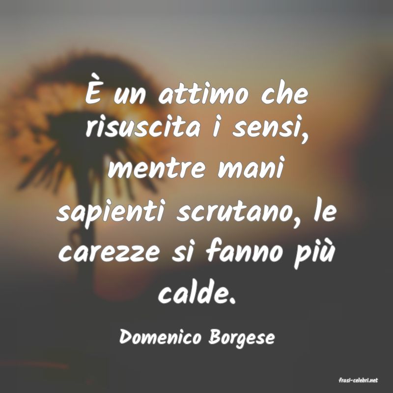 frasi di  Domenico Borgese
