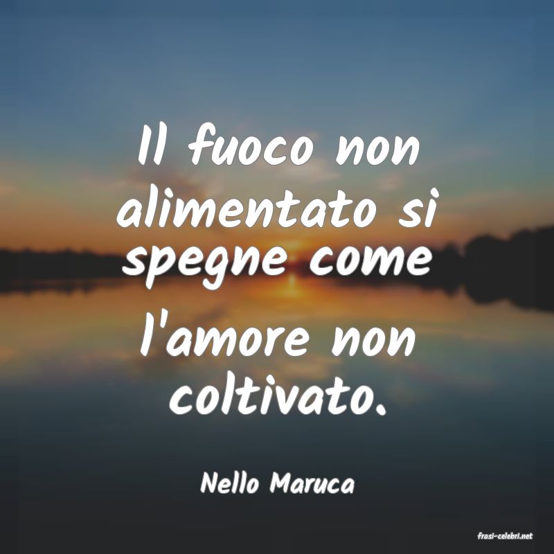 frasi di  Nello Maruca
