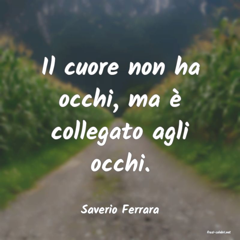 frasi di  Saverio Ferrara
