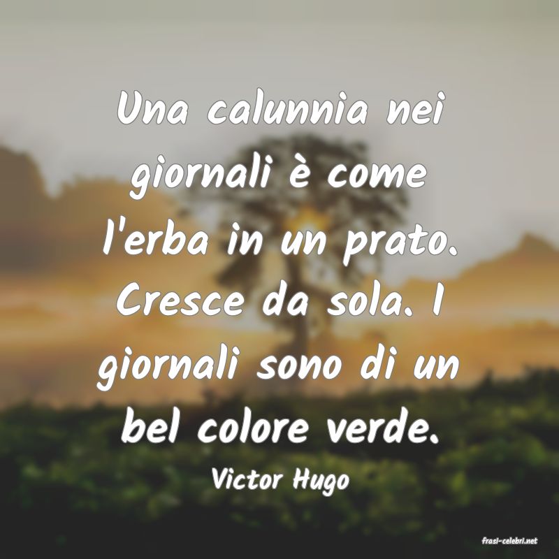 frasi di  Victor Hugo
