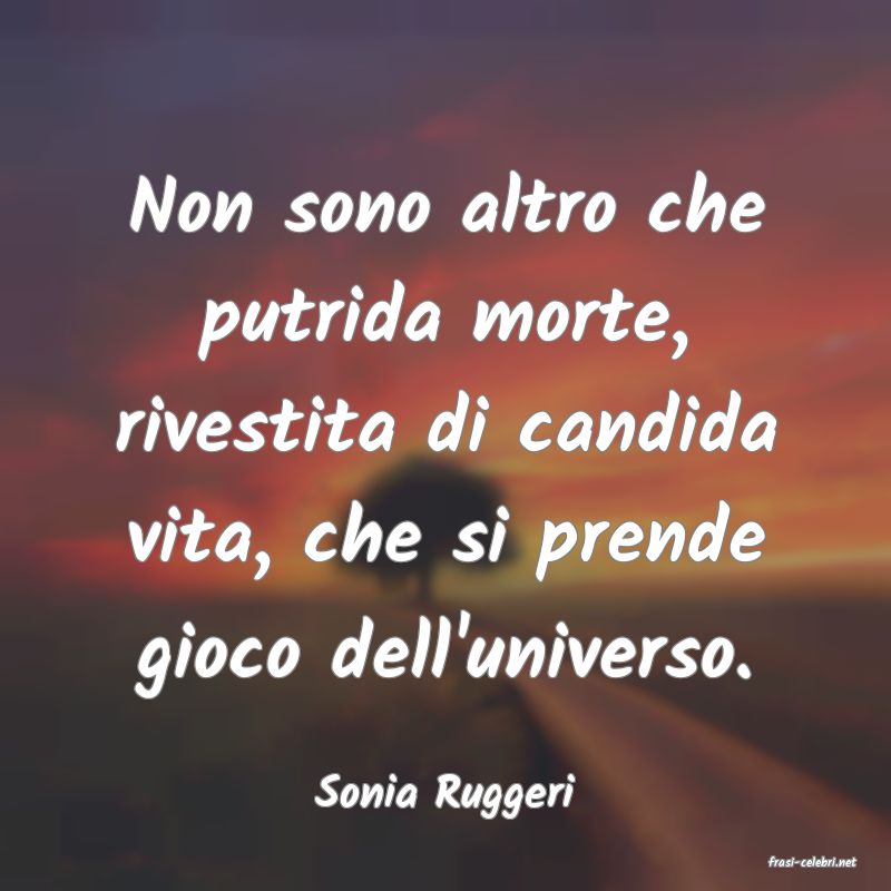 frasi di Sonia Ruggeri
