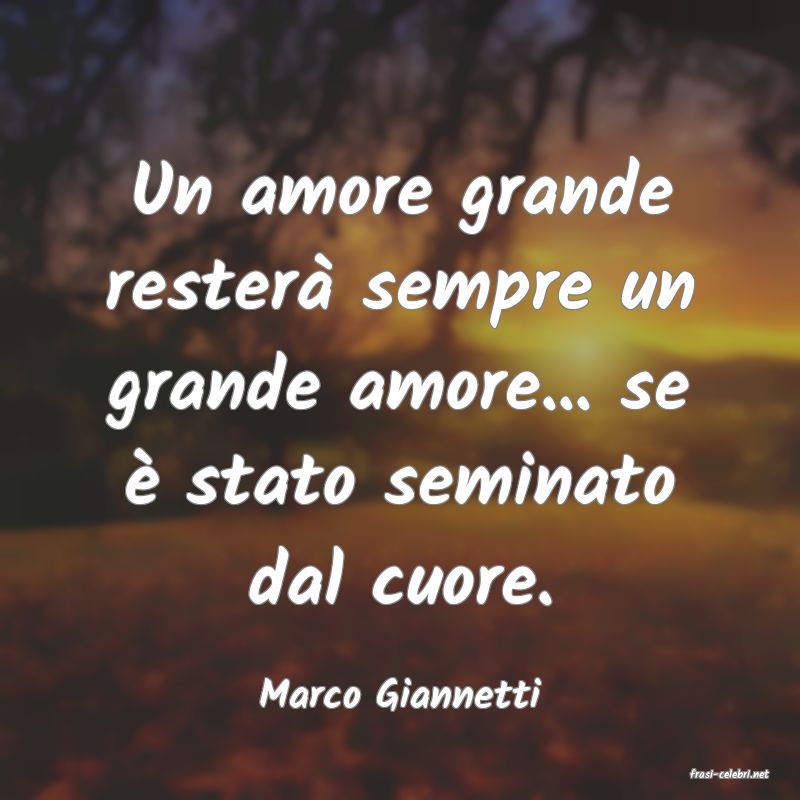 frasi di  Marco Giannetti
