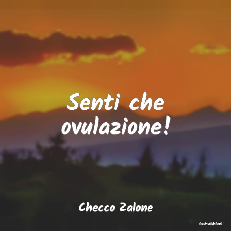 frasi di Checco Zalone
