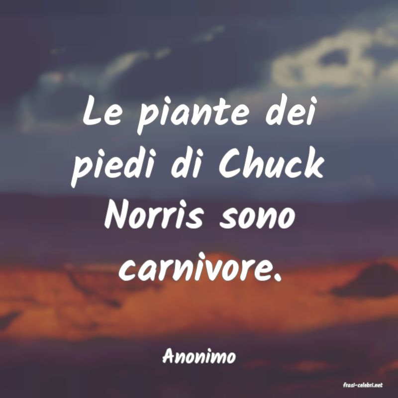 frasi di Anonimo