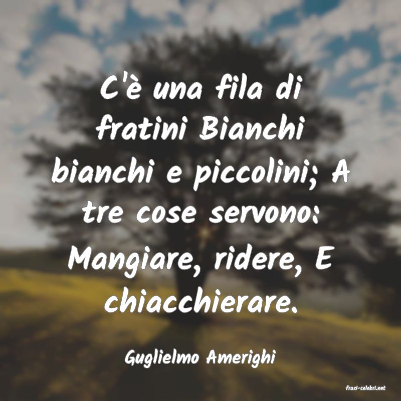 frasi di Guglielmo Amerighi
