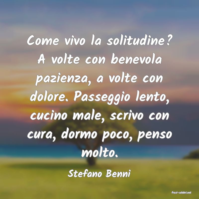 frasi di Stefano Benni