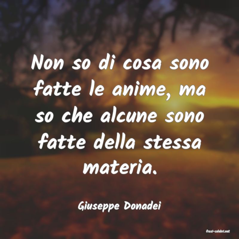 frasi di  Giuseppe Donadei
