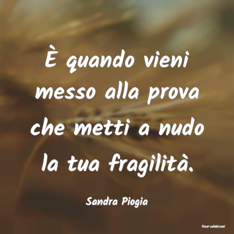 frasi di  Sandra Piogia
