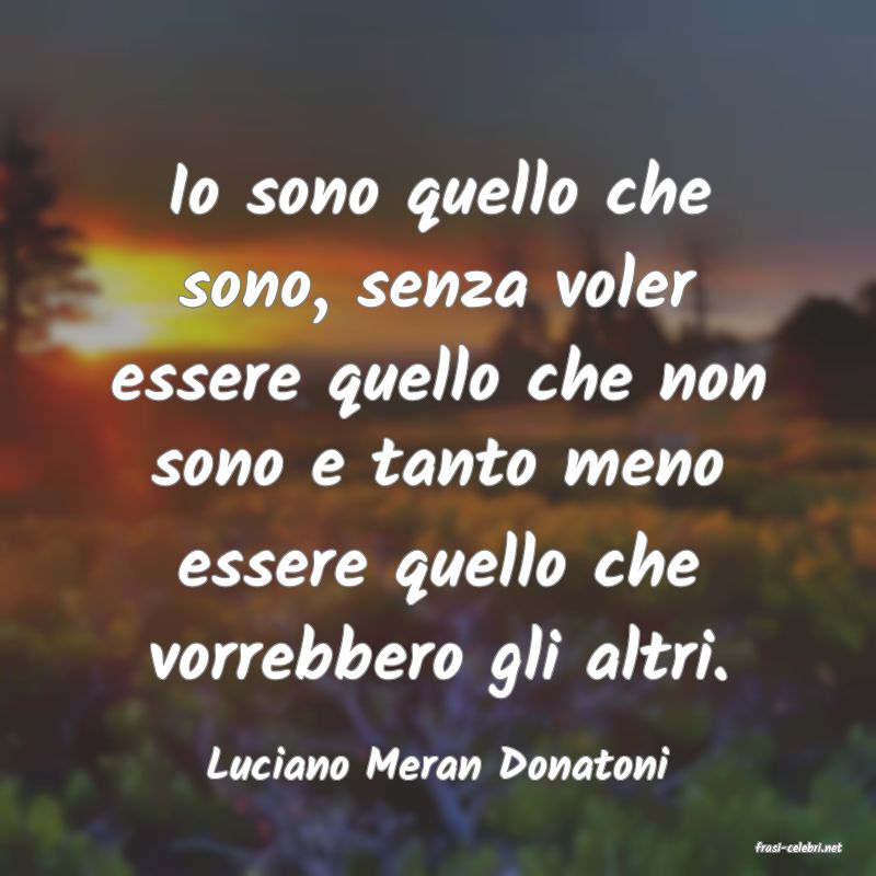 frasi di  Luciano Meran Donatoni
